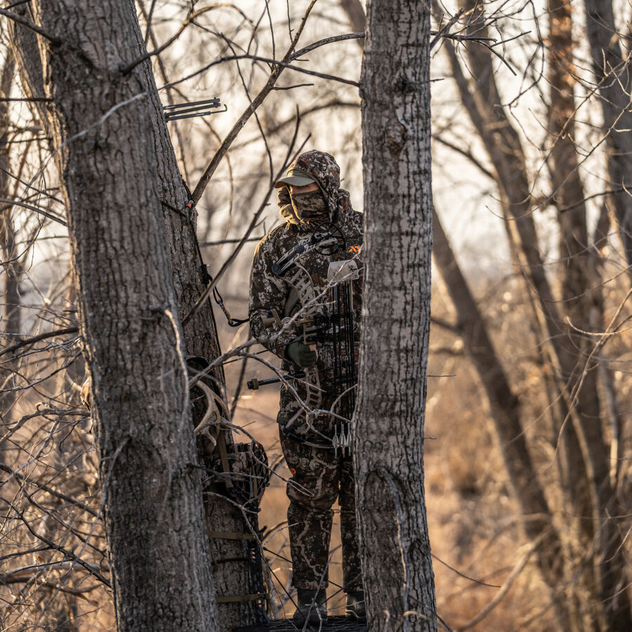 Mid Season Whitetail 